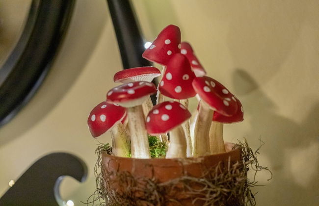 The Warlock House - Foto 22