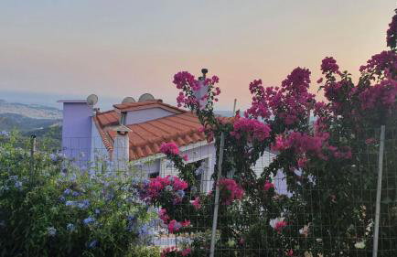 Villa kokos - Foto 44