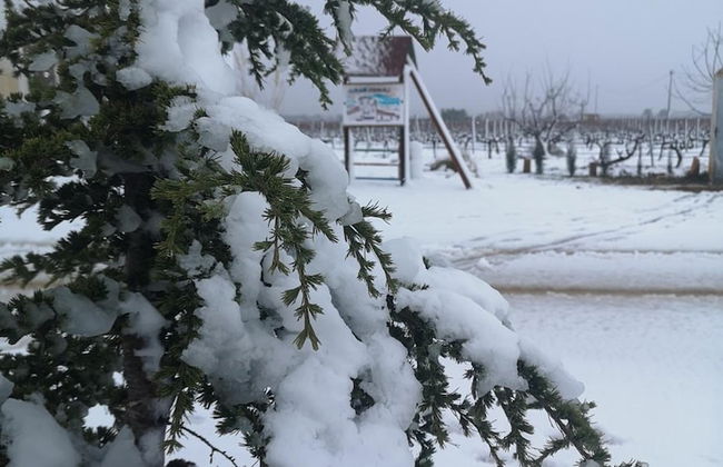 Casa Rural El Llano Quintanilla - Photo 27