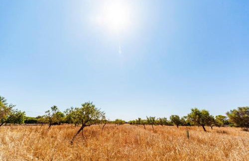 Finca Sanau - Foto 9