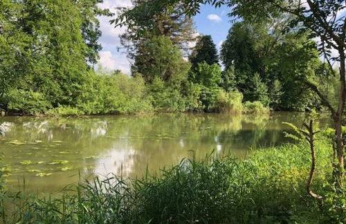 2 pièces avec jardin bord de seine proche forêt Fontainebleau - Foto 8