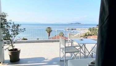 Aristotelia Gi - Panorama - Photo 3