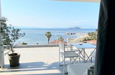 Aristotelia Gi - Panorama - Photo 3