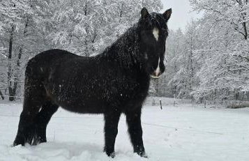 Hygge Młyńsko - Foto 23