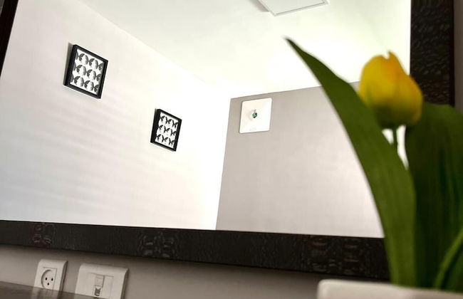 Esterin Royal Park Apartments Eilat - Photo 7