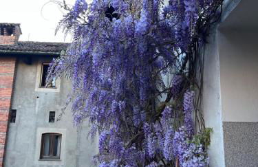 Design and History apartament - Photo 9