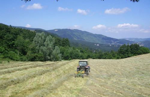 Agriturismo Il Falco del Monte Fumaiolo - Foto 51