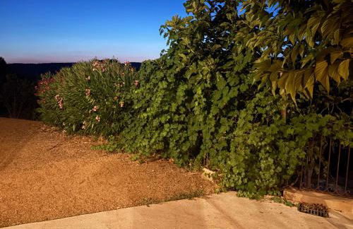 Entre mer et maquis- maison avec piscine privée - 8 minutes plage tizzano - Foto 31