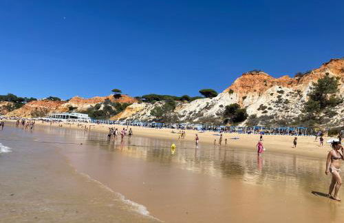 Varanda para o Mar - Foto 20