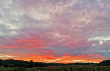 Ca' dei Berici - Relax tra Colli e città d'arte - Foto 27