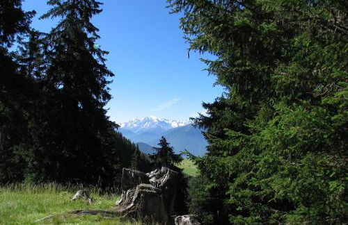 Appartement Sunnleitn - Foto 23