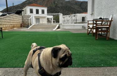 Εξοχική Μονοκατοικία με αυλή και εξωτερική αποθήκη-Country house with yard and external warehouse - Foto 47