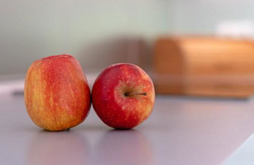 Ferienparadies Seeweg 6 - Photo 16