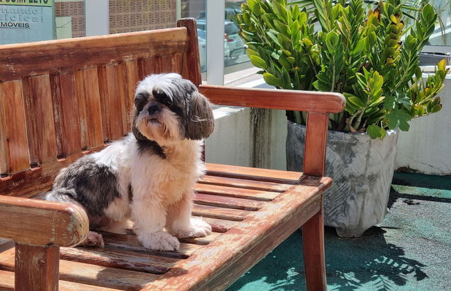 Areias do Mar | 2 Quartos Garden Familia A113 - Foto 16