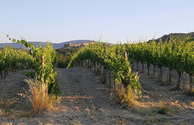 Agriturismo Podere Casa al Vento - Photo 39