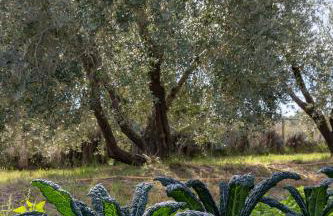 Agriturismo La Collina - Foto 49