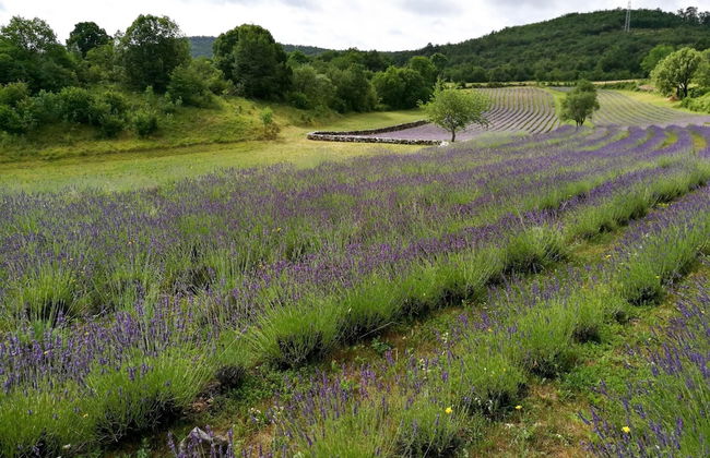 Villa Kambra With Whirlpool - Foto 30