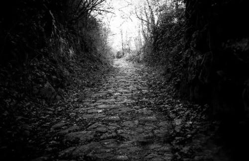 Condrieu et parking voiture vélo 2 ème étage - Foto 43