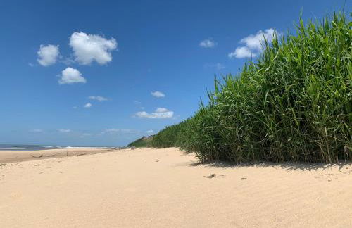 pénates océanes - Foto 7