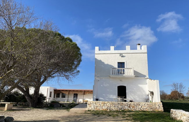 Tenuta del Grillaio - Foto 20