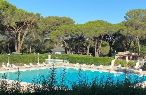 Appartement cote pinede 1 chambre - Foto 14