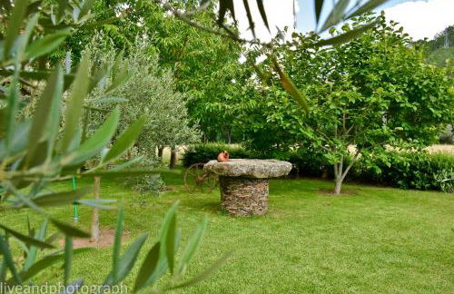 Casa Lagar Da Alagoa - Foto 20