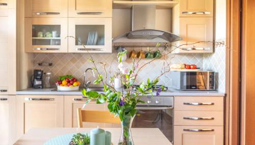 Noi 2 Vacanze - il Nido di Gina - Foto 4, stove