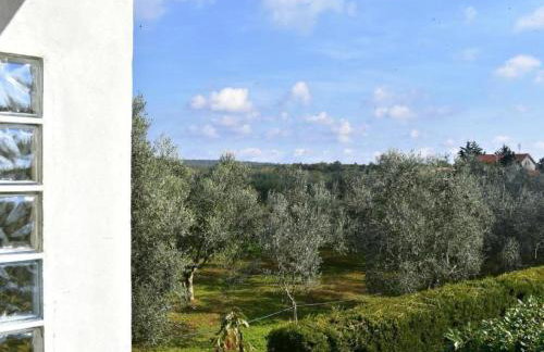 Apartment LOREDANA KAT by Interhome - Photo 21