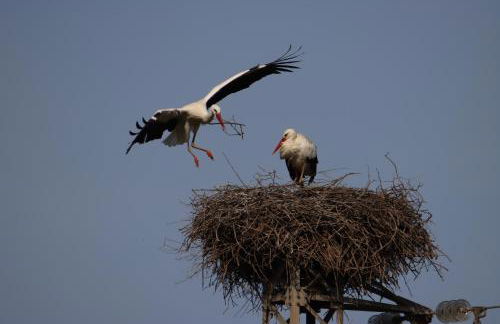 Vista Baglio Grande - Foto 36