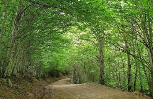 Casa Fraile aisa - Photo 44