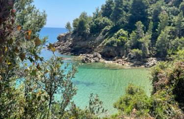 Κατηγιώργης Ξενώνας Ρεγγίνα - Foto 9