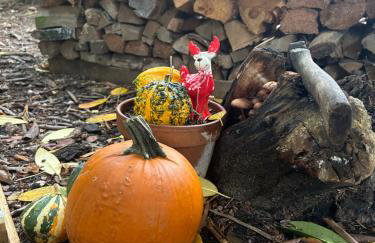 Haus mit Sauna am Waldrand - Nähe Brombachsee Altmühlsee - Foto 10