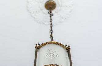 Helianthus - Photo 22