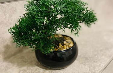 Goldstadt Grand Suite- City Apartment Zentrum Pforzheim - Foto 19