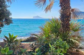 Atlantico Flamingo - Photo 45