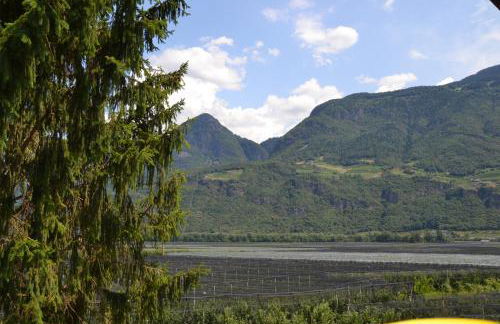 Burggräflerhof - Photo 14