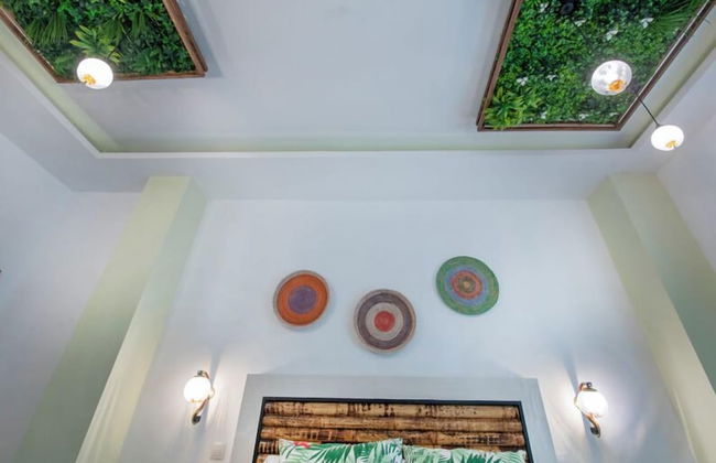 Molucano Themed Rooms - Photo 20