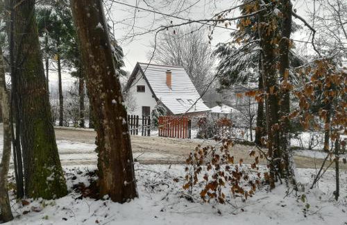 ČAROBNA ŠUMA ***(magic forest) - Foto 6