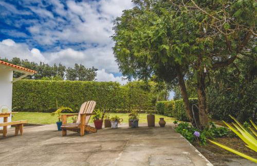 Adega do Mota - Photo 55