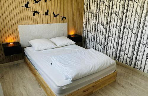 Séjour bucolique au lac du der - Foto 30