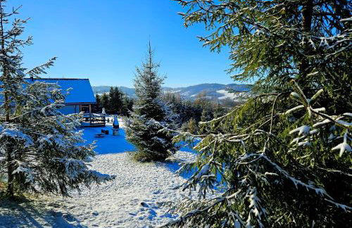 Bieszczadzka Pauza - Foto 67