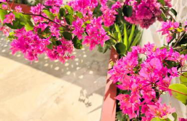 Casa Ancora - Foto 42