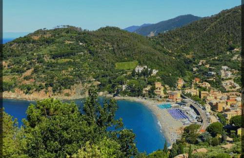 L' eden di Erasmo - Foto 63