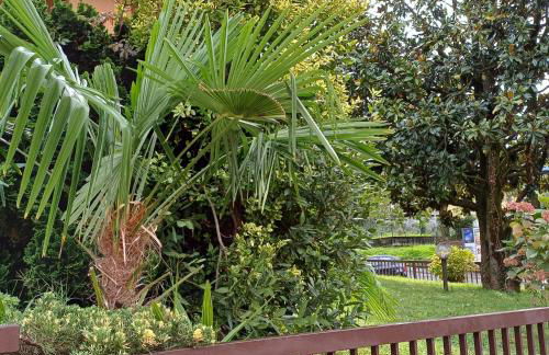 Casa Giulia, Darfo Boario Terme Ospitar - Foto 33