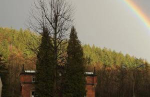 Kot Pocztowy - Foto 76