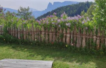 Aschnerhof Auf´m Egg - Photo 7