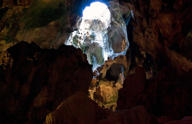 Tour della Fattoria di Struzzi e delle Grotte di Hato - Foto 3