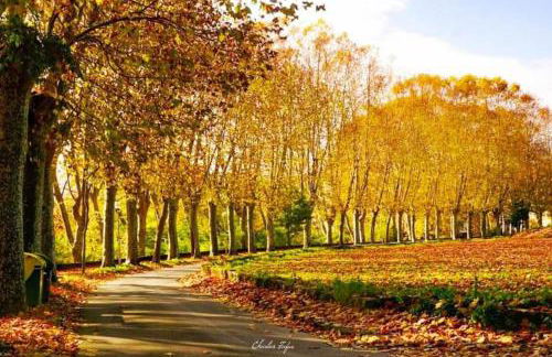 Masía La Garrotxa - Photo 73