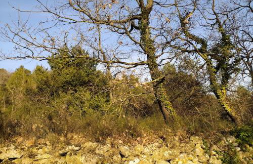 Niché au cœur de la Provence - VERNEGUES - Foto 12