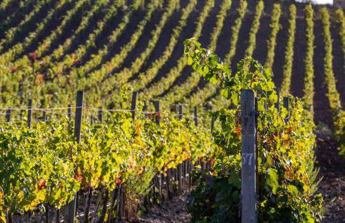 La Foresteria di Rocca di Frassinello - Foto 17